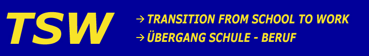 TSW  Transition from school to work  bergang Schule Beruf